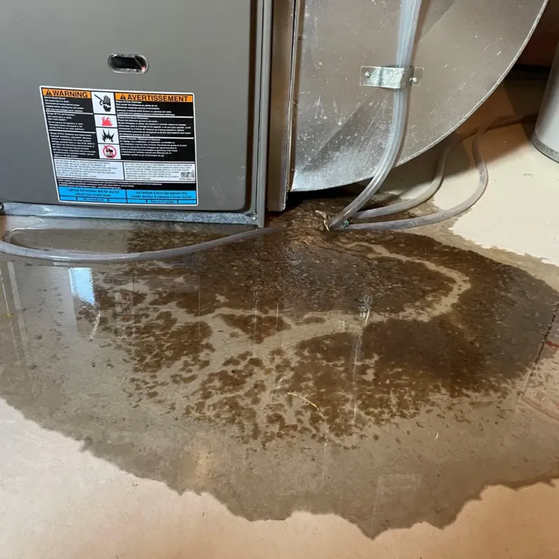 Appliance Leak Cleanup in Switzerland County, IN